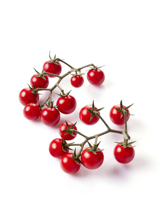 Solanum lycopersicum 'Sugar Basket Red' -- Tomato 'Sugar Basket Red'